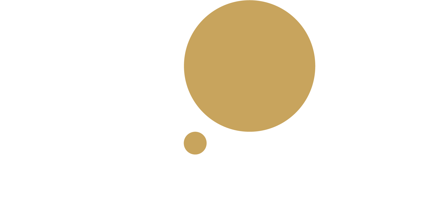 Veriteer Ltd